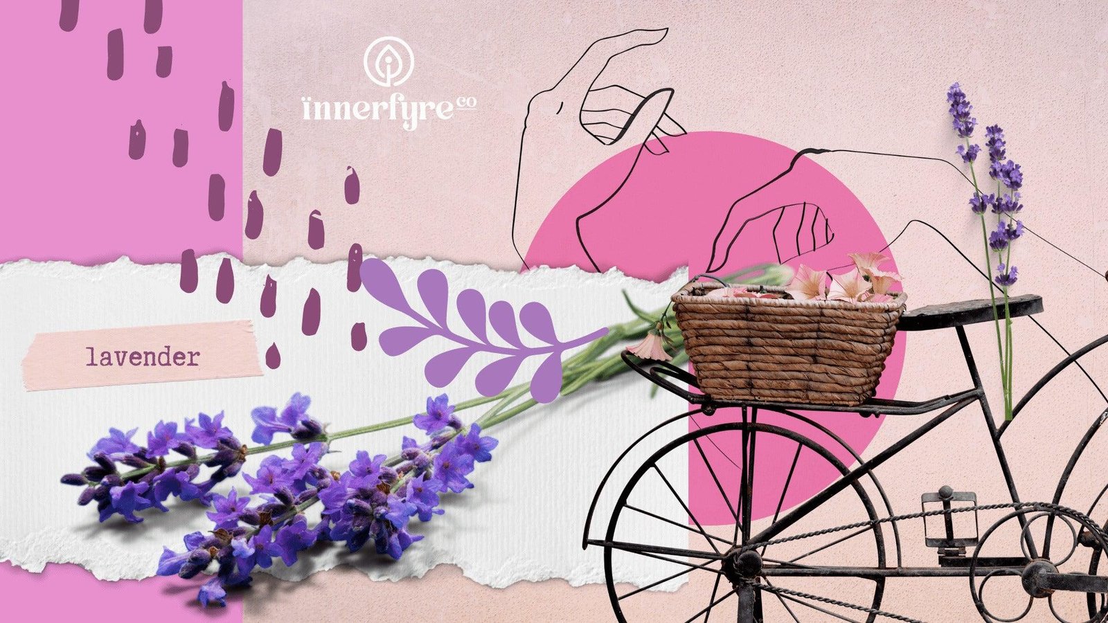Lavender Essential Oil
