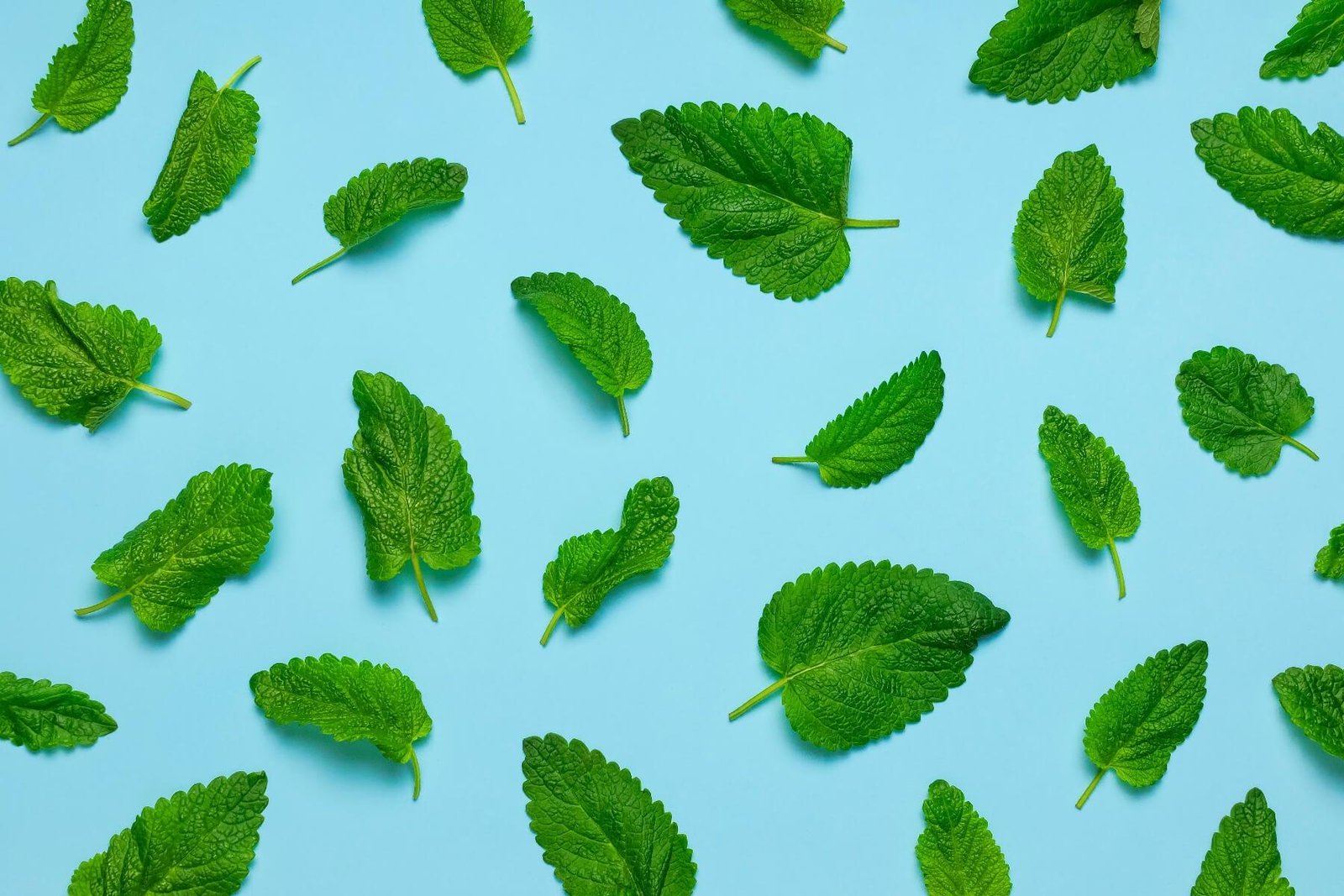 peppermint